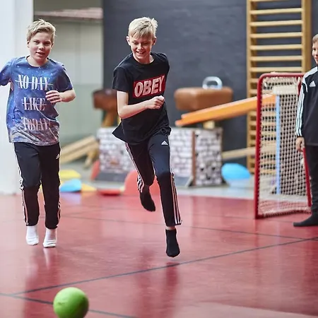 Hotel Sportshotel Vejen